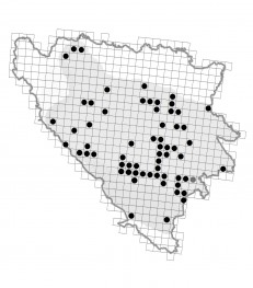 Distribucija R. graeca u BiH predstavljena sivom bojom. Distribution of R. graeca in B&H